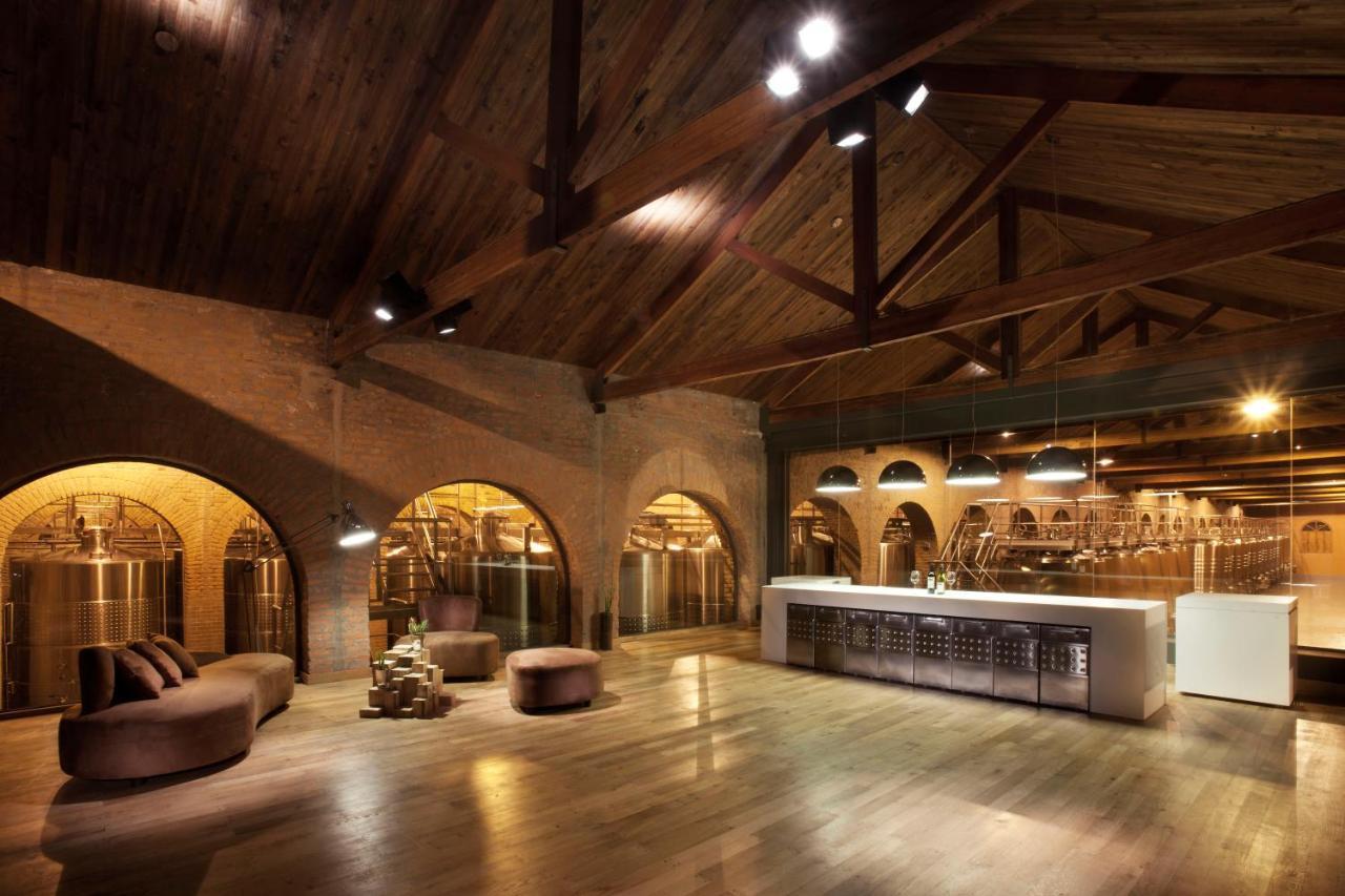 Terrazas De Los Andes Guest House 路冉得库约 外观 照片