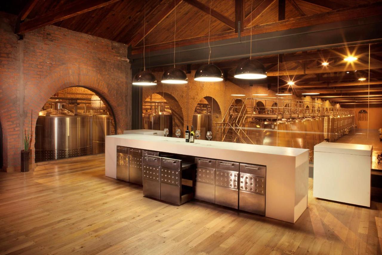 Terrazas De Los Andes Guest House 路冉得库约 外观 照片